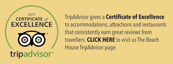 TripAdvisor Certificate of Excellence